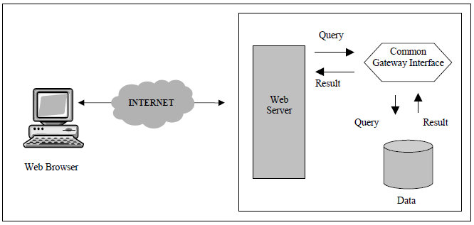 Figure 6. Database Connection with CGI