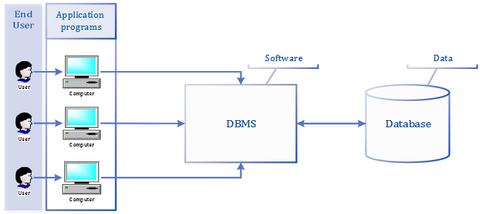 Figure 2.1 The DBMS