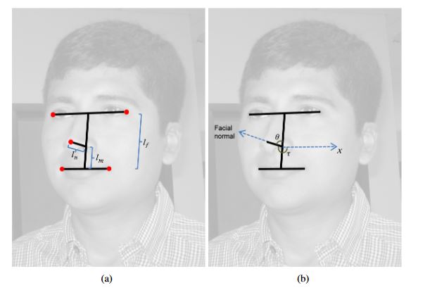 Figure 3.4: Face pose estimation: 