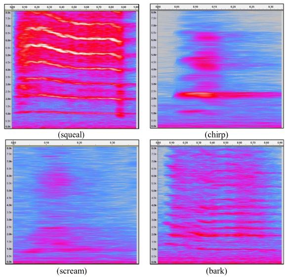 Fig. 1. (Color online) Illustrative spectrograms for the four call categories: (clockwise from top left) squeal; chirp; scream; bark. Horizontal axis indicates time in seconds, and vertical axis indicates frequency in kHz