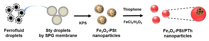 Figure 1. A schematic illustration of the preparation of Fe 3 O 4 nano particles-embedded 